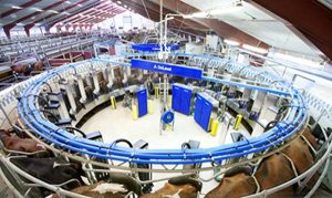 DeLaval-AMR_1_300[1]